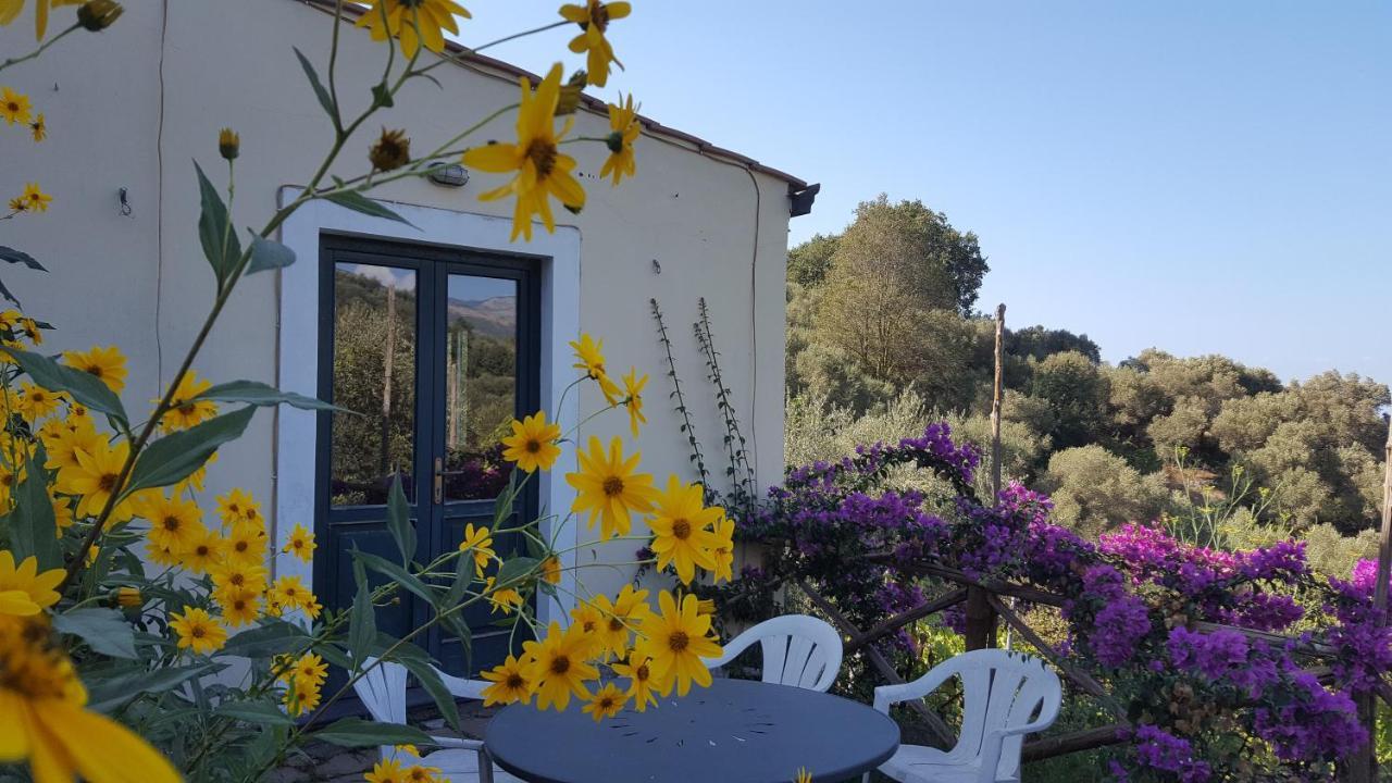 Gli Ulivi Agriturismo Sant'Agnello Bagian luar foto