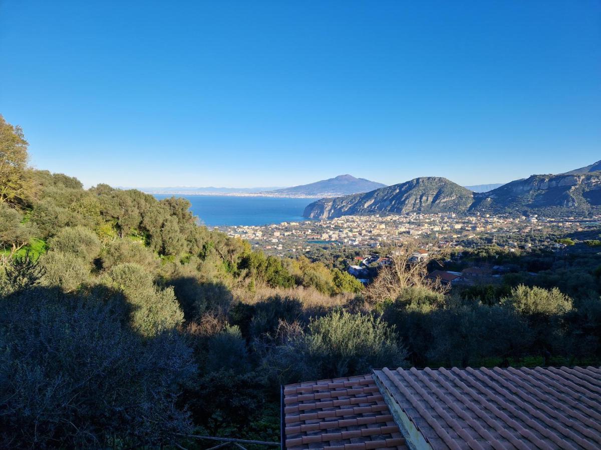 Gli Ulivi Agriturismo Sant'Agnello Bagian luar foto