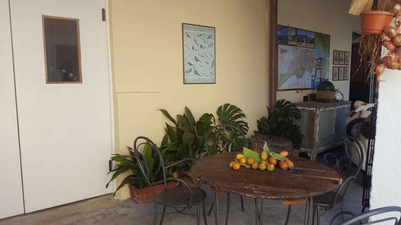 Gli Ulivi Agriturismo Sant'Agnello Bagian luar foto