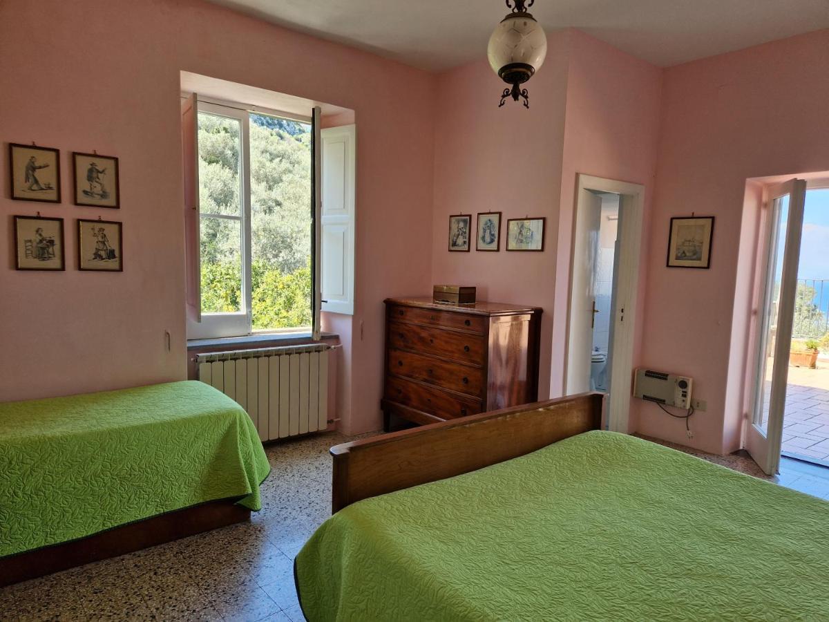 Gli Ulivi Agriturismo Sant'Agnello Bagian luar foto