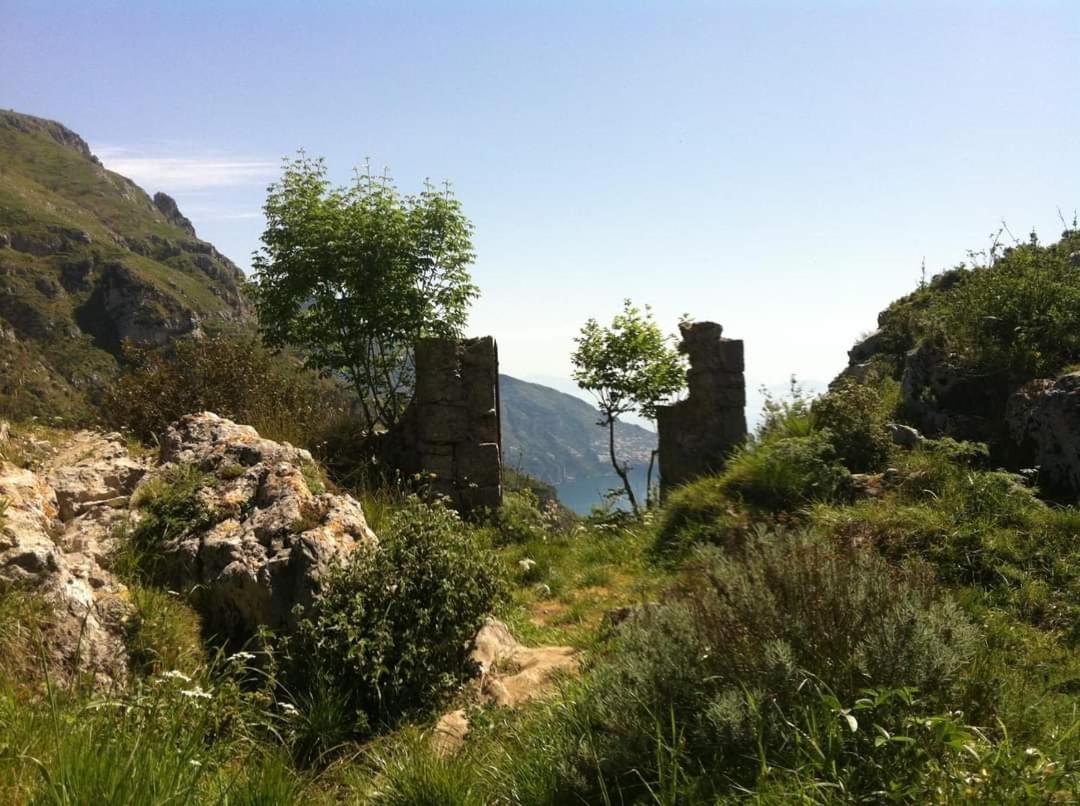 Gli Ulivi Agriturismo Sant'Agnello Bagian luar foto