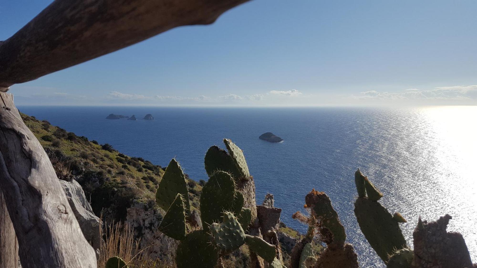 Gli Ulivi Agriturismo Sant'Agnello Bagian luar foto