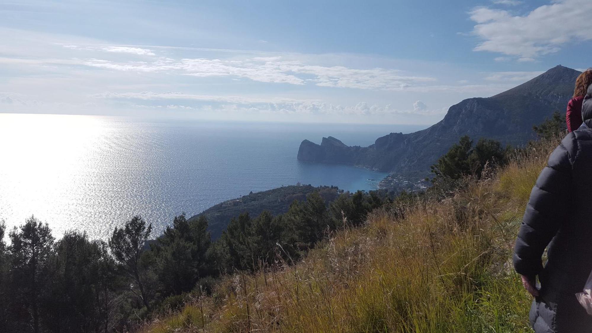 Gli Ulivi Agriturismo Sant'Agnello Bagian luar foto