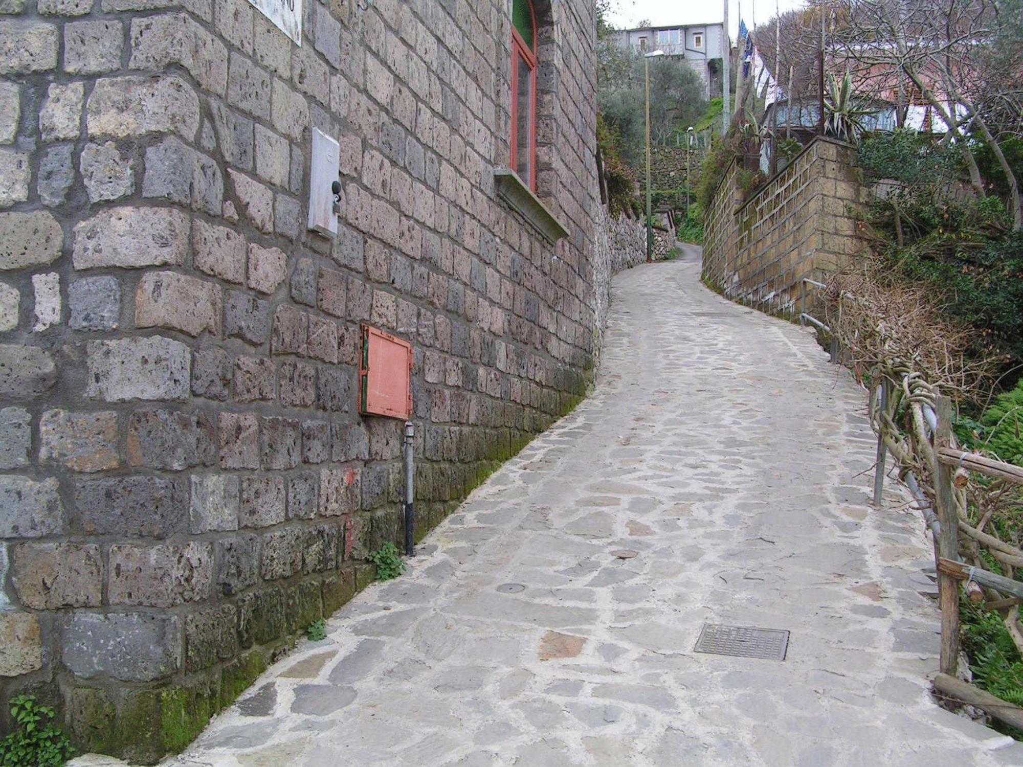 Gli Ulivi Agriturismo Sant'Agnello Bagian luar foto