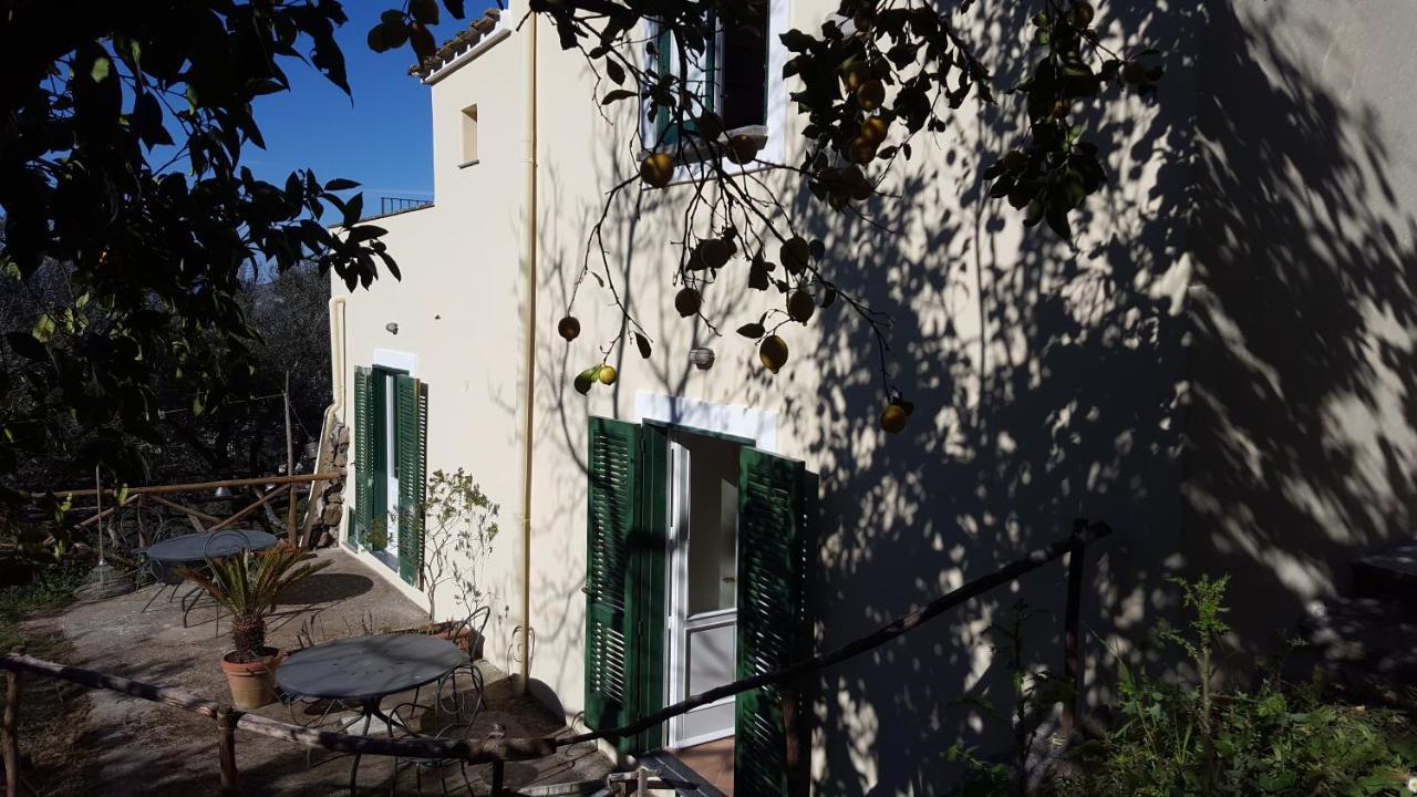 Gli Ulivi Agriturismo Sant'Agnello Bagian luar foto