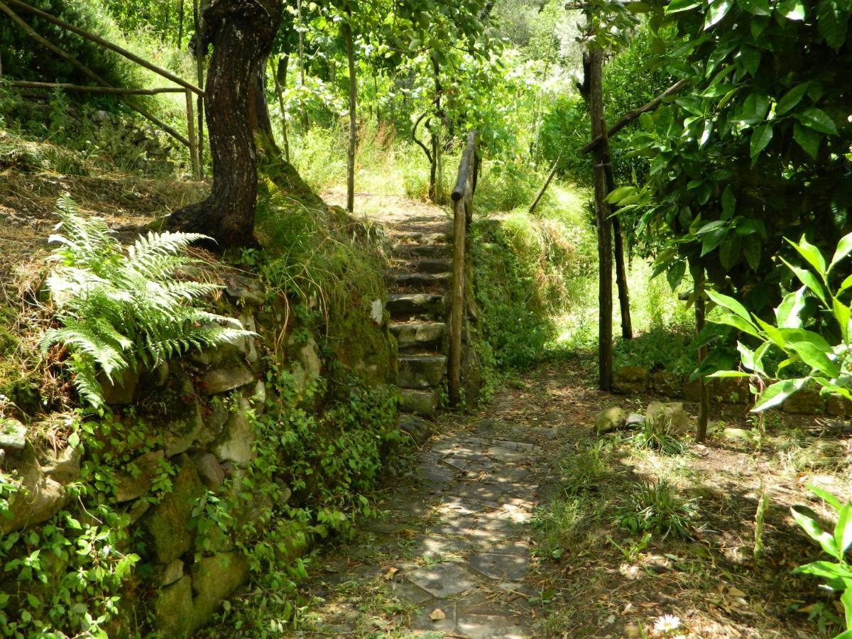 Gli Ulivi Agriturismo Sant'Agnello Bagian luar foto